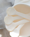 Seashell Spoons